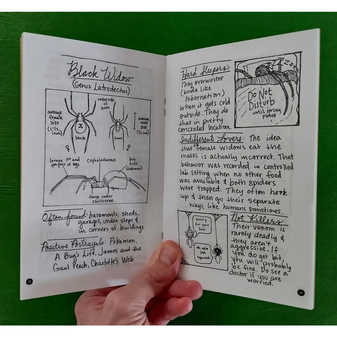 Notable Neighbors & Tiny Tenants: Bugs in the City (Zine)