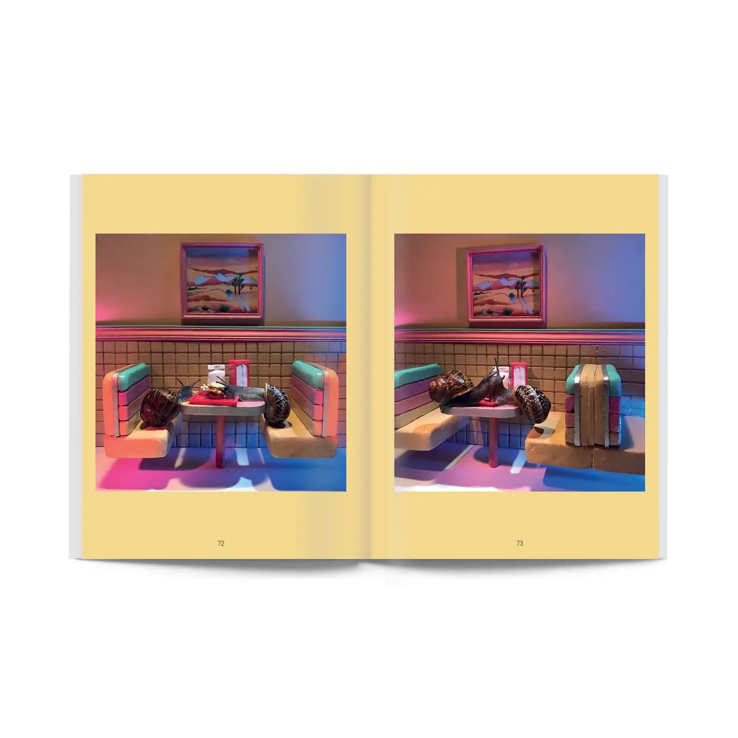 Snail World: Life in the Slimelight Coffee Table Book