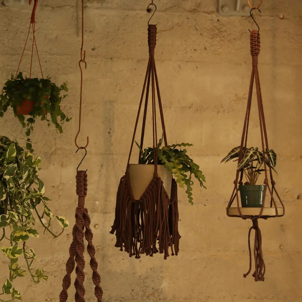 Fringed Plant Hanger - Dark Brown