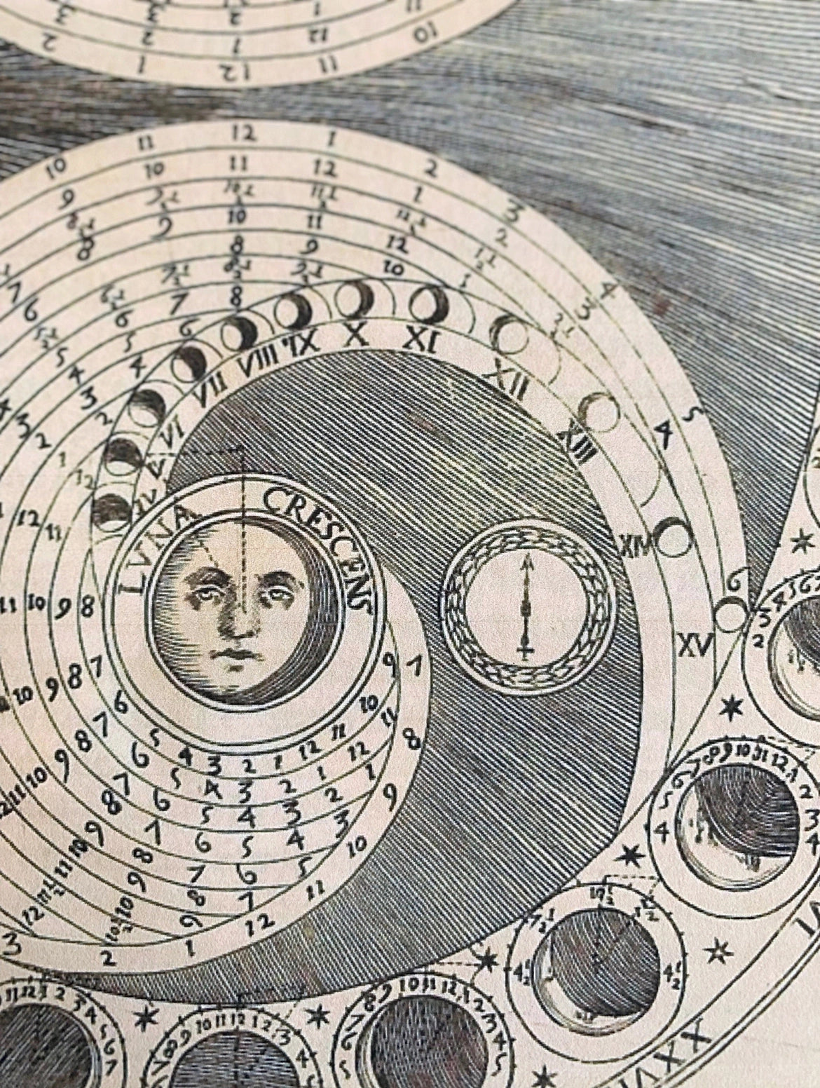 Celestial Moon Phase/Lunar Cycle Print