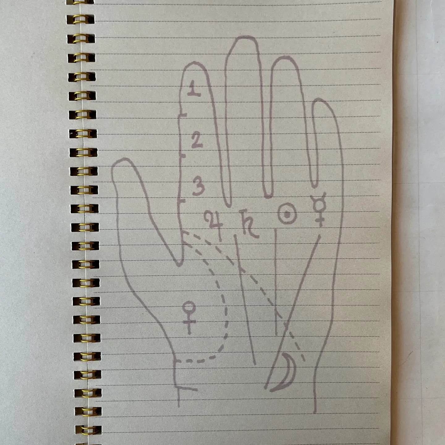 Palmistry Notebook