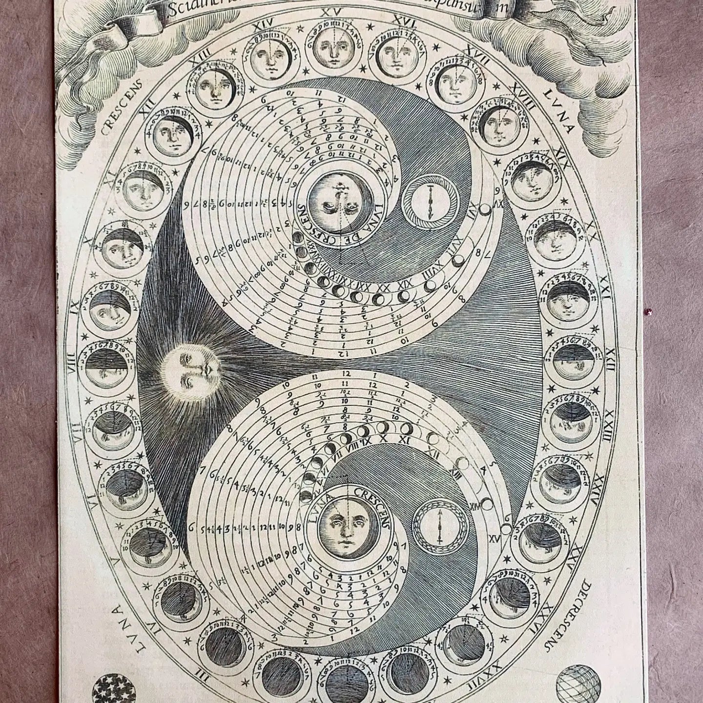 Celestial Moon Phase/Lunar Cycle Print