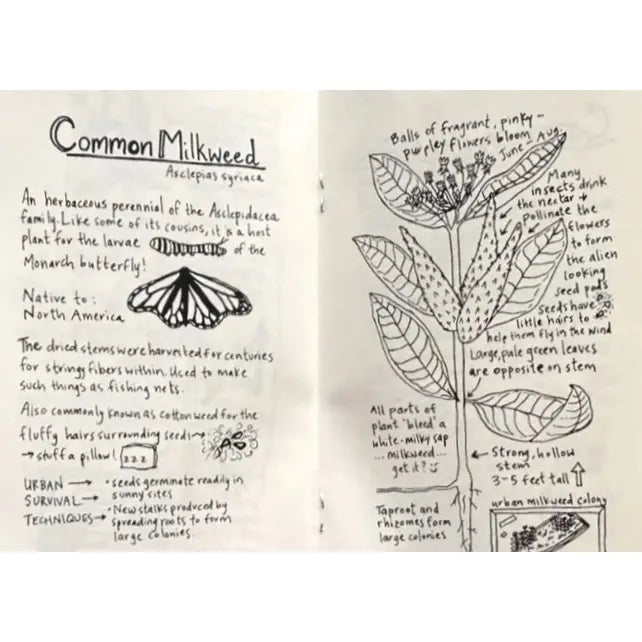 Urban Field Guide To the Plants in Your Path