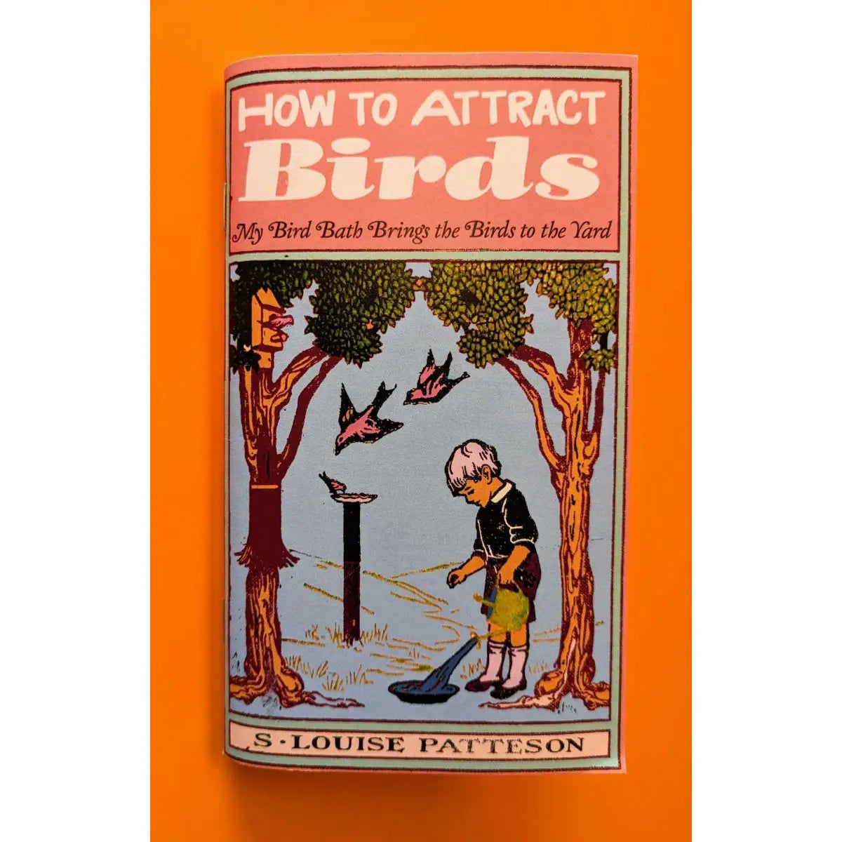 How To Attract Birds (Zine)