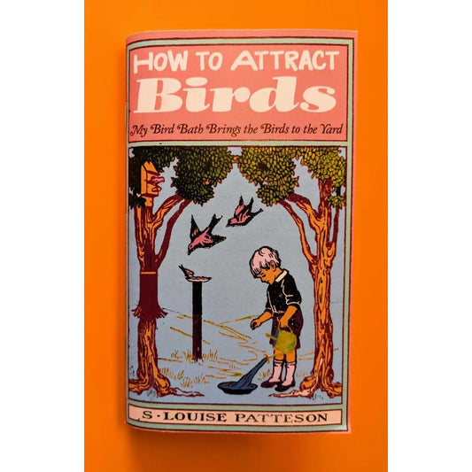 How To Attract Birds (Zine)