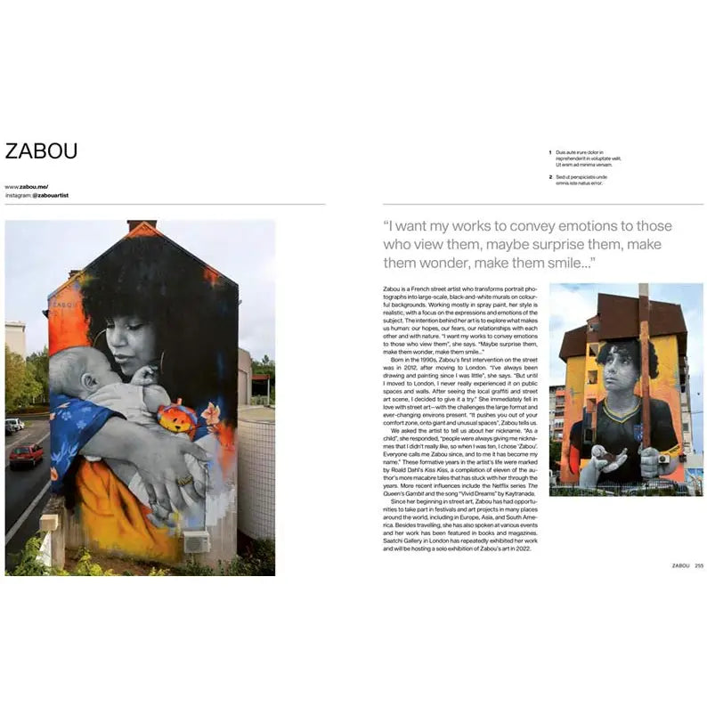 Street Art By Women: 50+ Artists. Hardcover Book