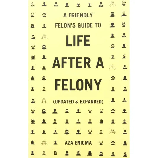 Friendly Felon's Guide To Life After A Felony (Zine)