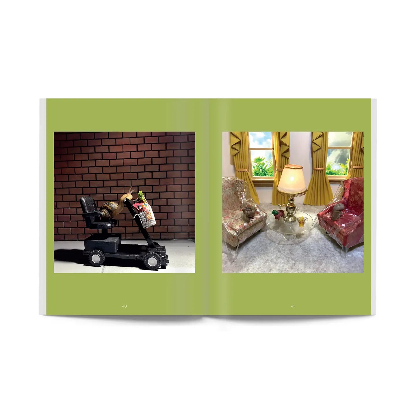Snail World: Life in the Slimelight Coffee Table Book