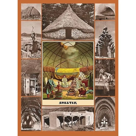 Shelter