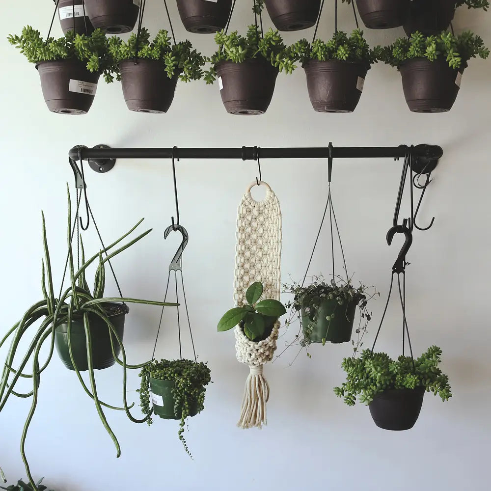 Wall Plant Hanger