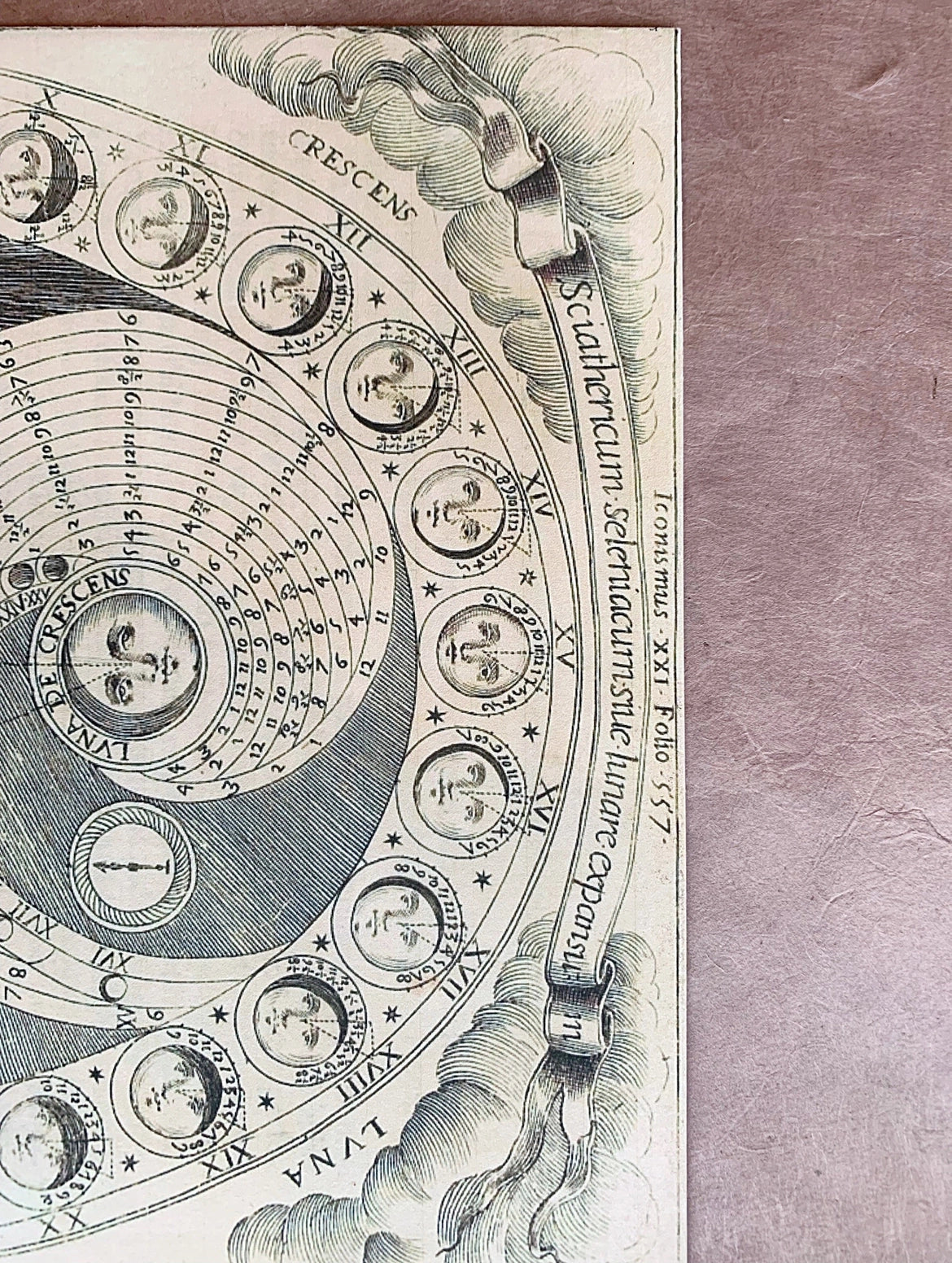 Celestial Moon Phase/Lunar Cycle Print