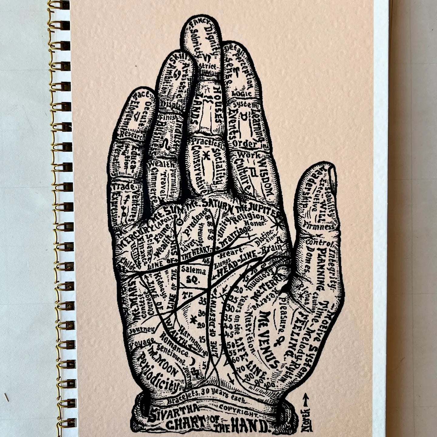 Palmistry Notebook