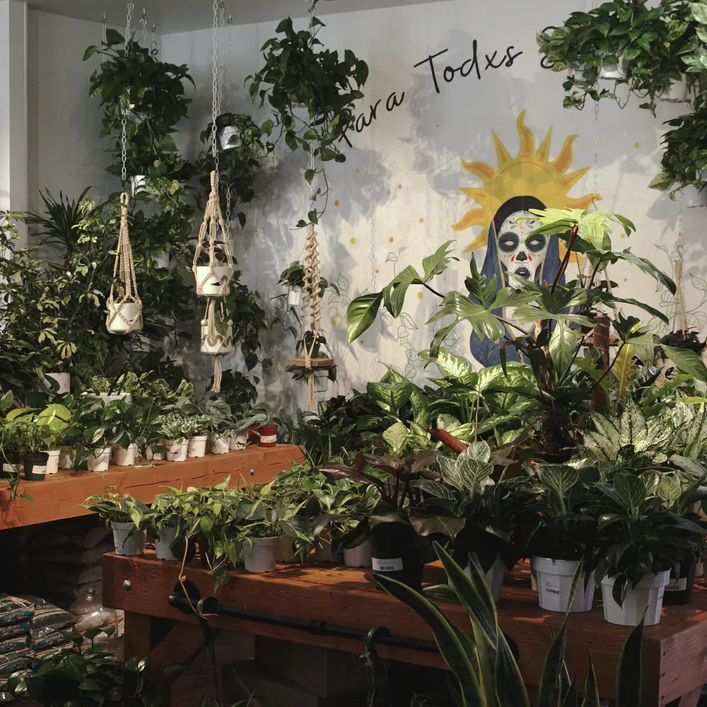 Original Plant Hanger